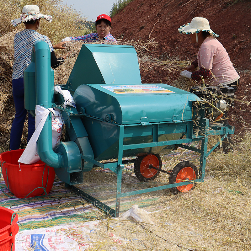 打菜籽的工具叫什么图片