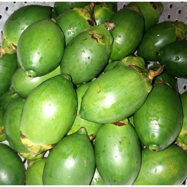 海南青槟榔生果乐东陵水槟榔新鲜槟榔现摘50克装生槟榔带配料