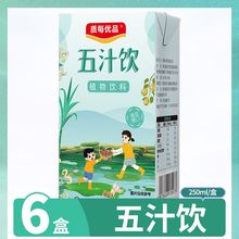 马蹄甘蔗荸荠梨莲藕芦根金银花含糖0脂一整箱盒装植物饮料