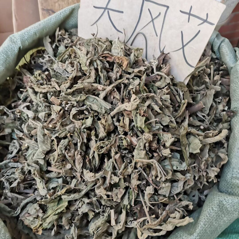 批发大风艾冷背奇名贵中药材大风艾艾纳香牛耳艾大风叶广西大枫草