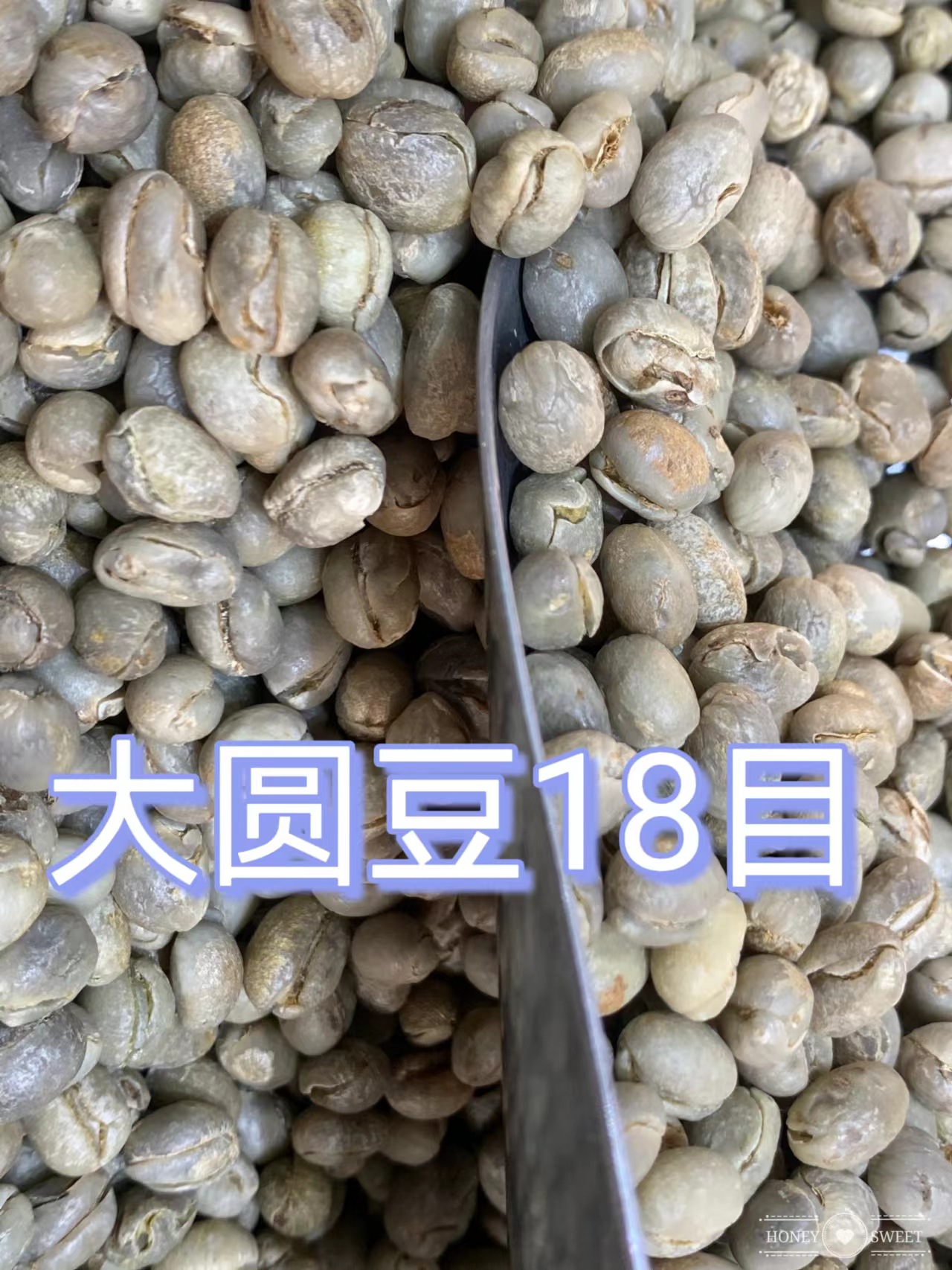 咖啡豆生豆新鲜AA级卡蒂姆大圆豆云南保山小粒咖啡手冲单品原装