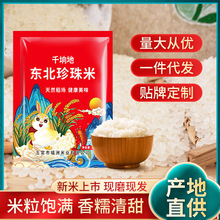 新款产地直供珍珠米千垧地飘香清甜东北大米现磨现发黑龙江特产米