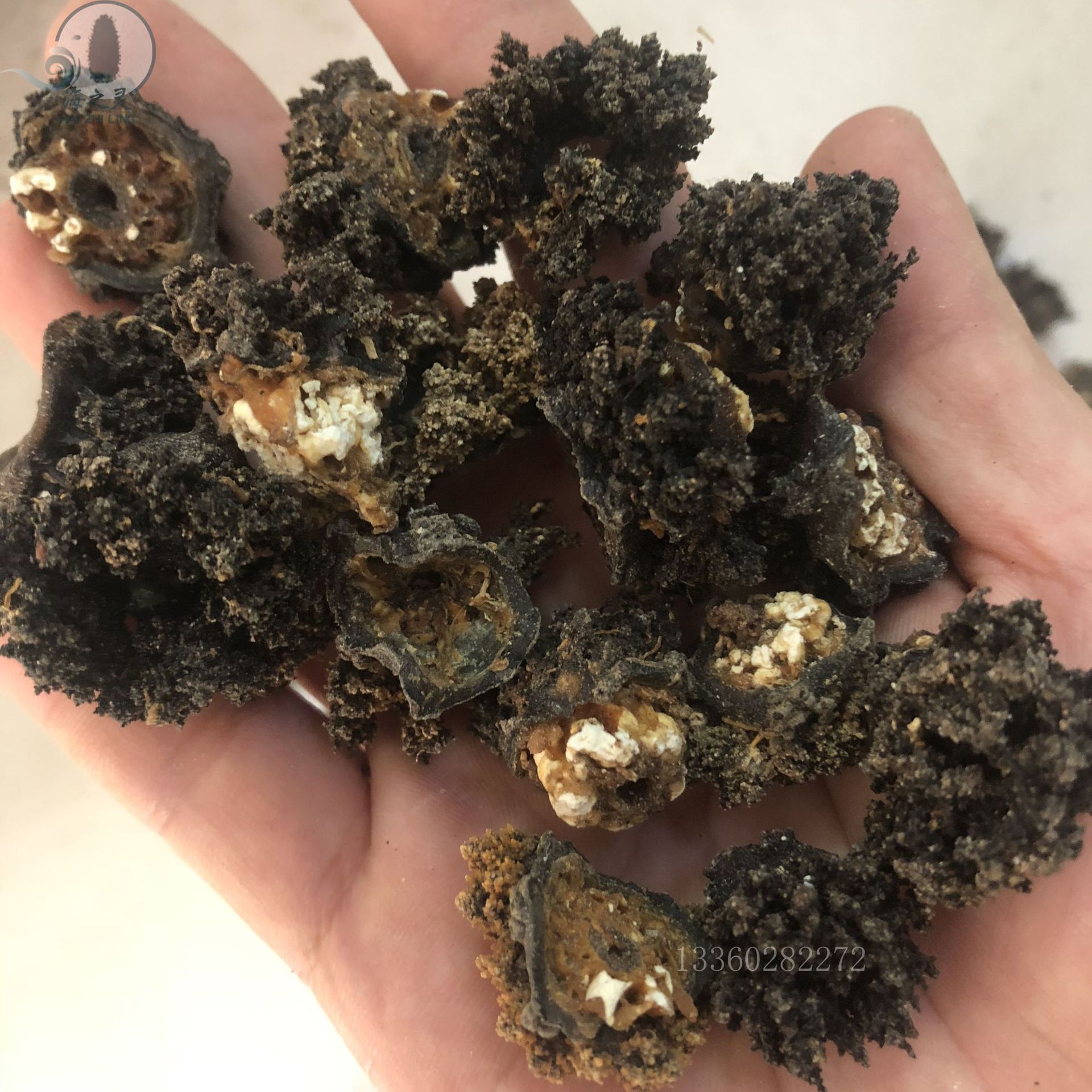 批发海参花 红极海参头 参皮头带肉 足干 酒店专供 实惠食材原料