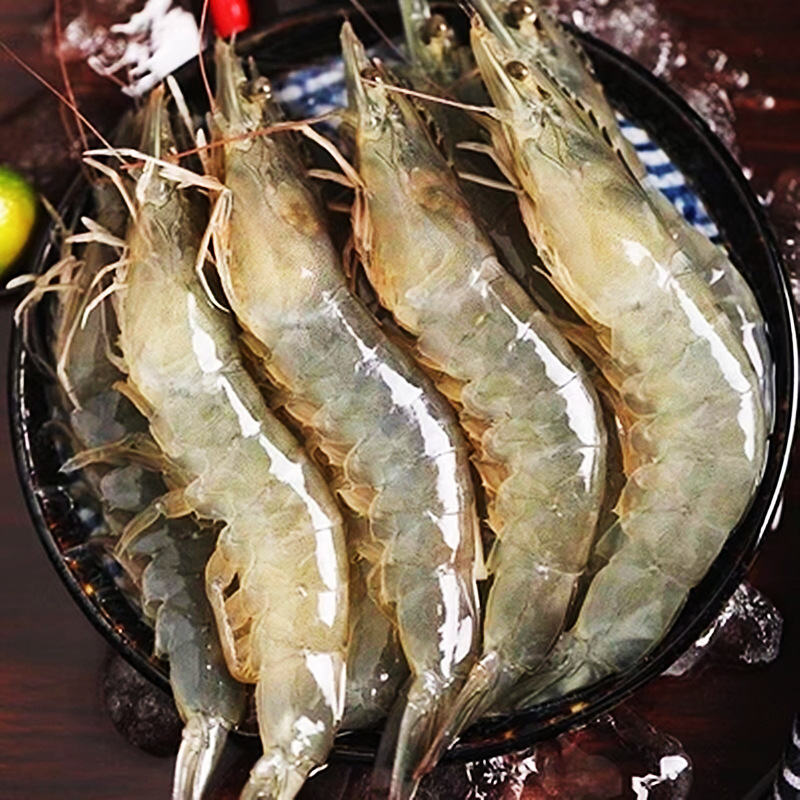 北海大虾批发鲜活急冻大号白虾对国产海水虾海鲜水产对虾500g