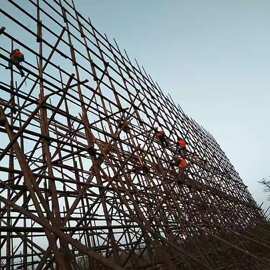 原头直供杉木杆竹竿园林绿化支撑杆高压线防护 13693109768