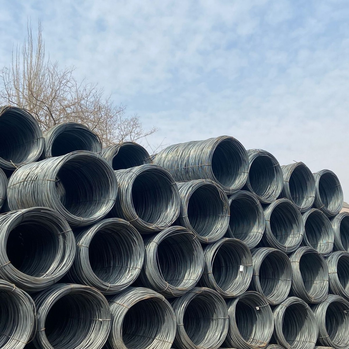 辽宁 吉林 盘螺hrb400e热轧带肋盘条三级盘螺盘圆6# 8#量大有惠