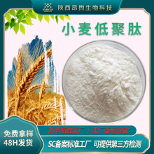 小麦低聚肽食品级小麦提取物小麦谷朊粉工厂现货批发小麦低聚肽粉