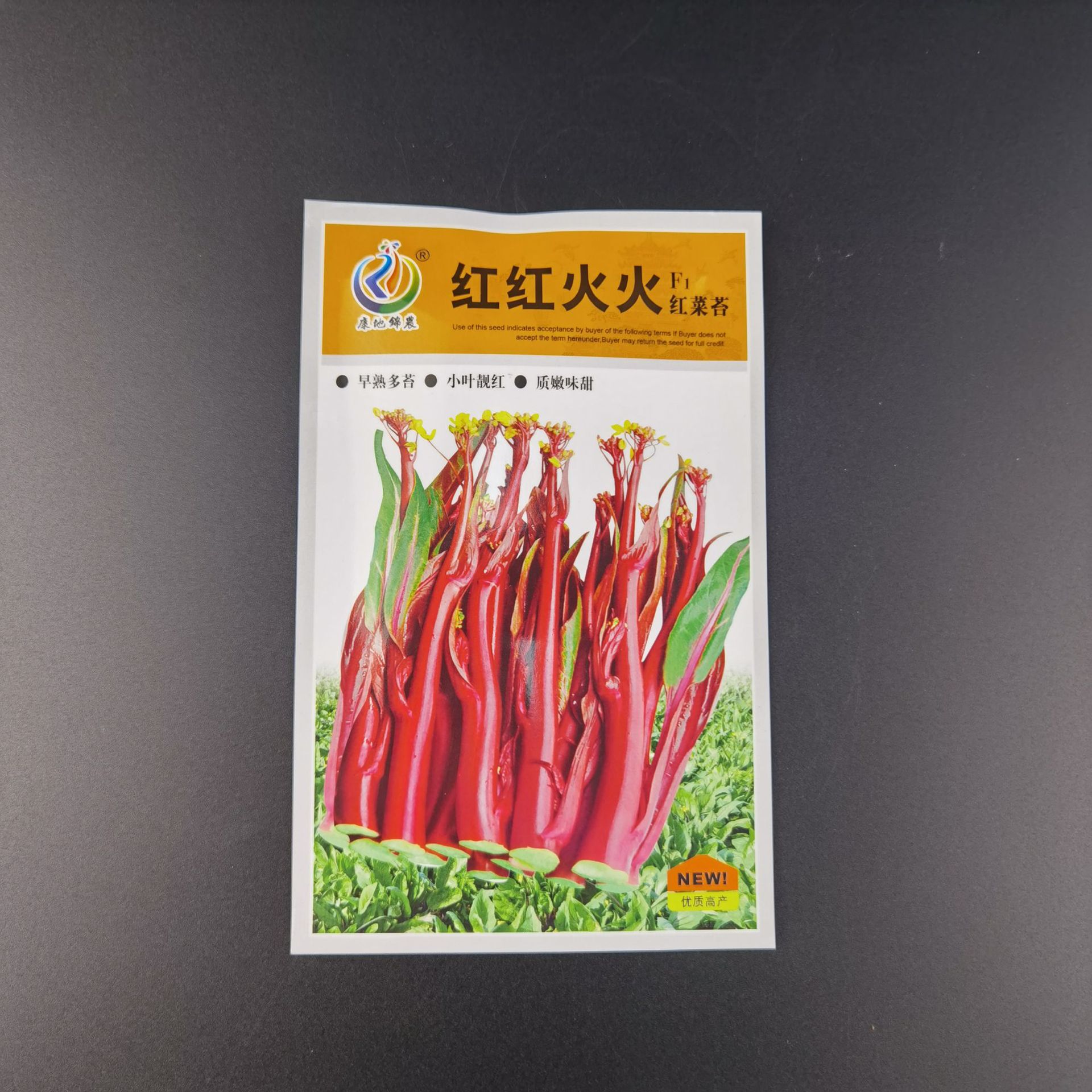 康地红红火火红菜苔一代杂交种子蔬菜种子早熟多苔小叶靓红质嫩甜