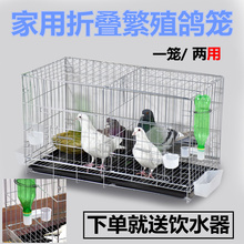 包邮加粗鸽子笼子鸽子用品用具鸽子笼大号鸡笼家用鸽子养殖笼子