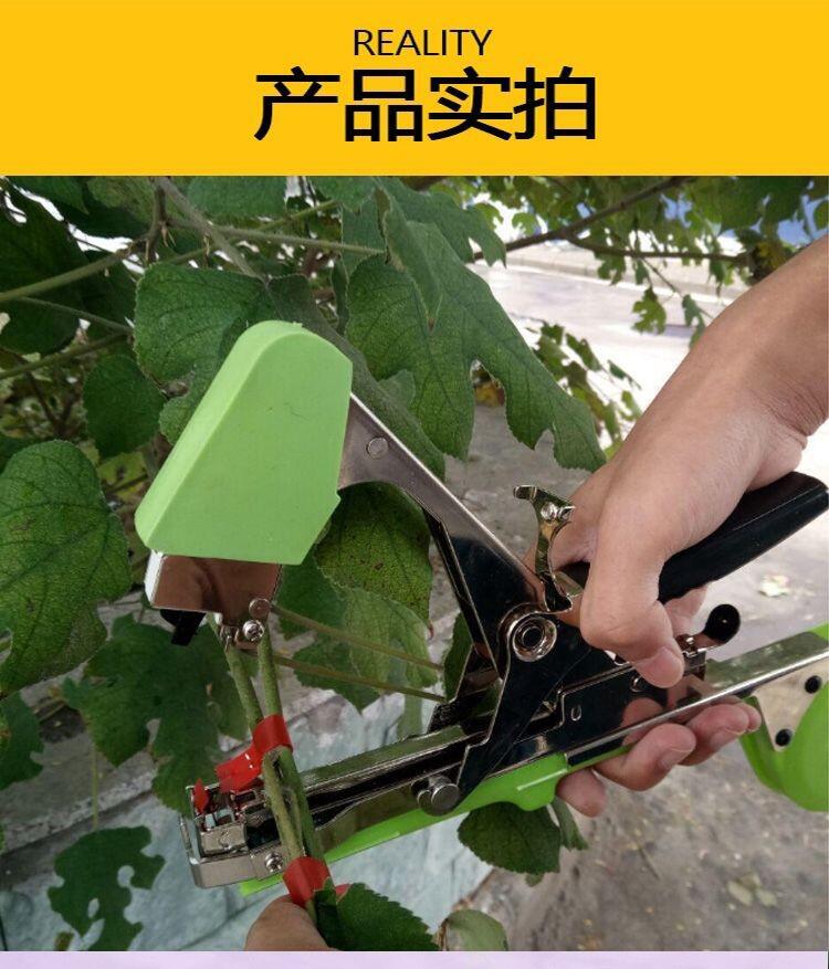 厂家直销葡萄绑枝机tapetool机/绑蔓枪捆绑机器结束机捆扎带机器