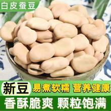 新货干蚕豆500g 新鲜散装白皮蚕豆罗汉豆胡豆可种籽炸生蚕豆小吃
