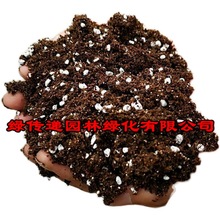 多肉营养土 种植土泥炭土大包花土养花种菜土盆栽土肥料土壤300克