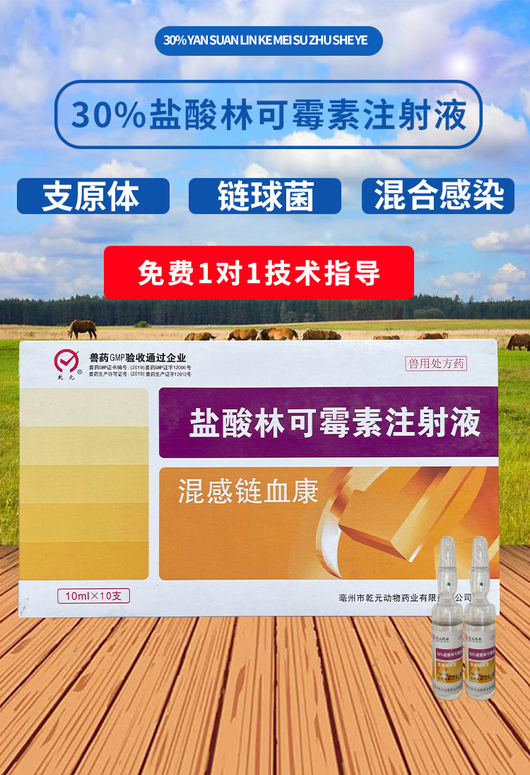 兽药兽用30%盐酸林可霉素注射液 混感链血康猪牛羊犬支原体呼吸道