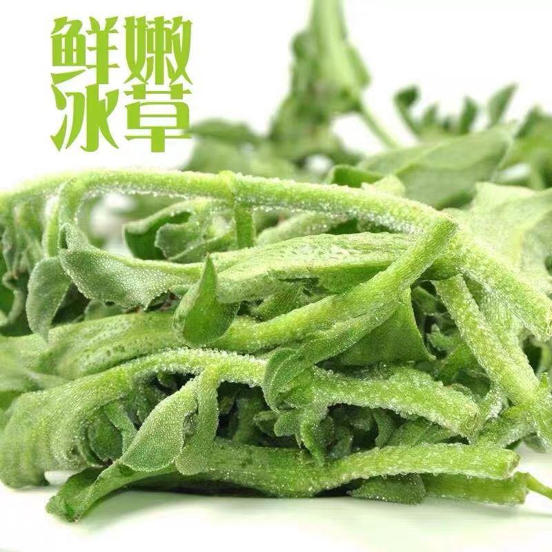 【】新鲜冰菜非洲冰草山东寿光特产即食蔬菜沙拉菜轻食代餐
