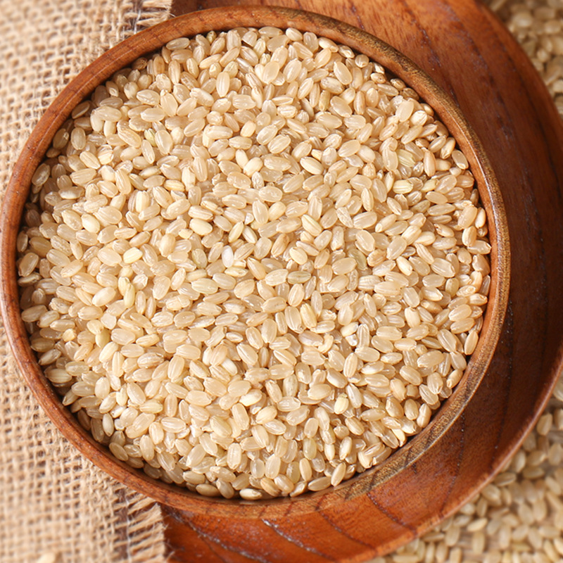糙米500g 胚芽米 五谷杂粮 厂家批发
