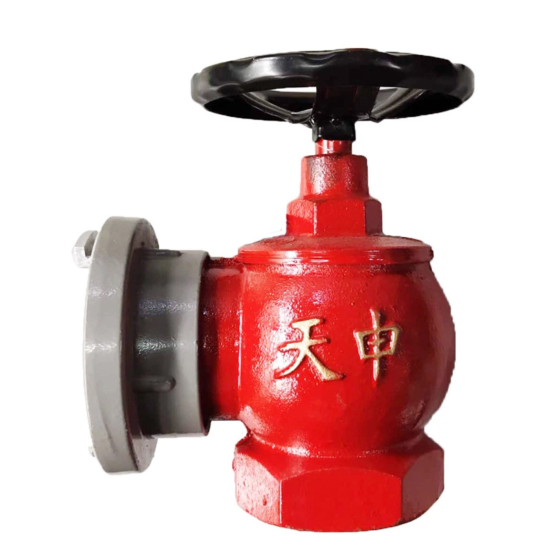 天航室内消火栓室内消防栓sn65消防取水口消火栓头开关消防内牙栓