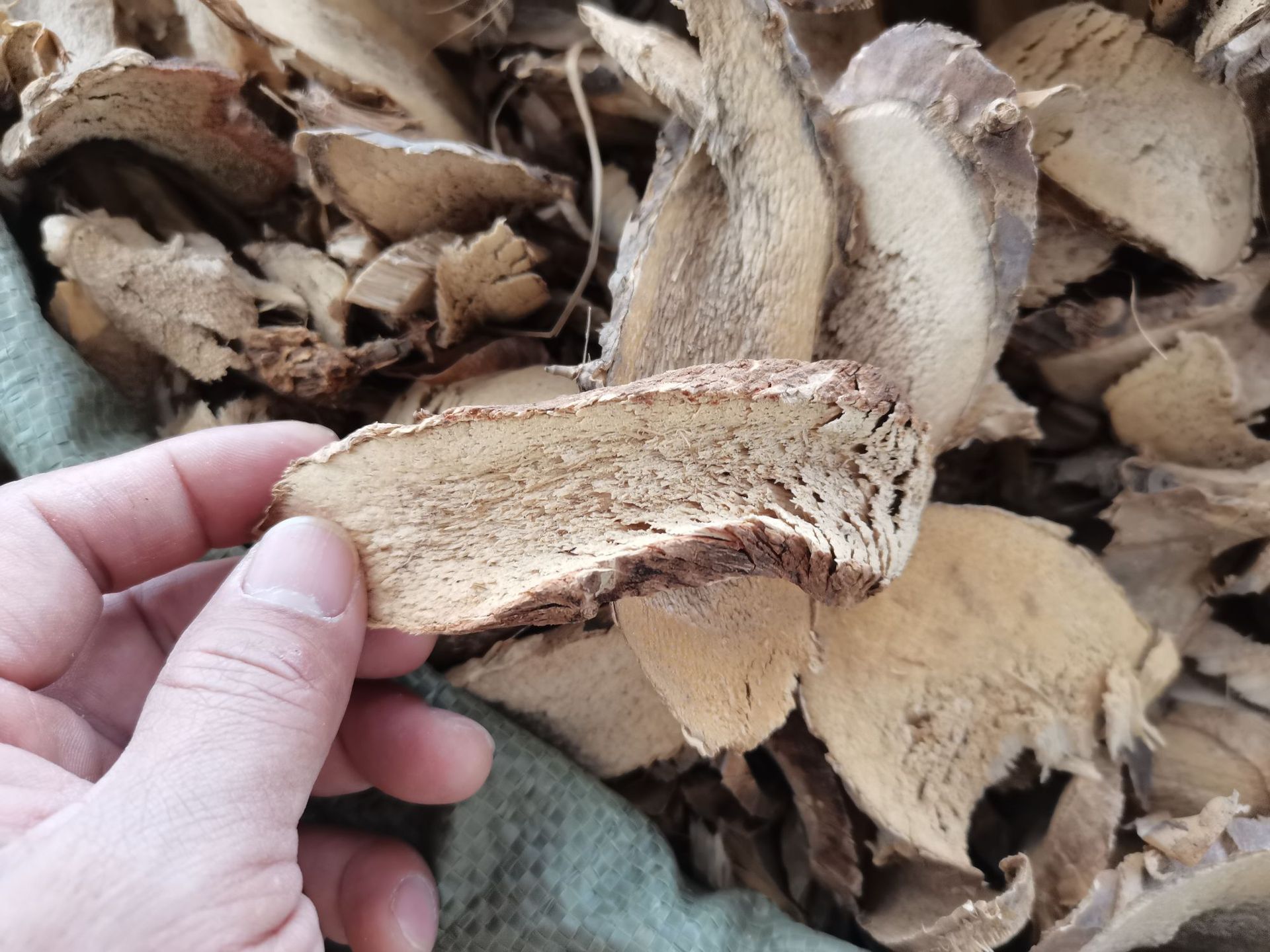 露刀根路刀根路刁根露兜根卢刀根 野菠萝根帕梯根山菠萝根中药材