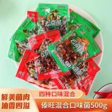 四口味云南菌500g云南特产鸡枞菌牛肝菌味即食菌零食开袋即食