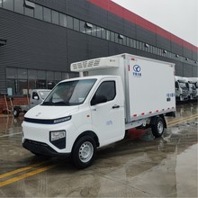 新能源纯电动小型冷藏保温车冻货食品果蔬保鲜运输车按揭价格