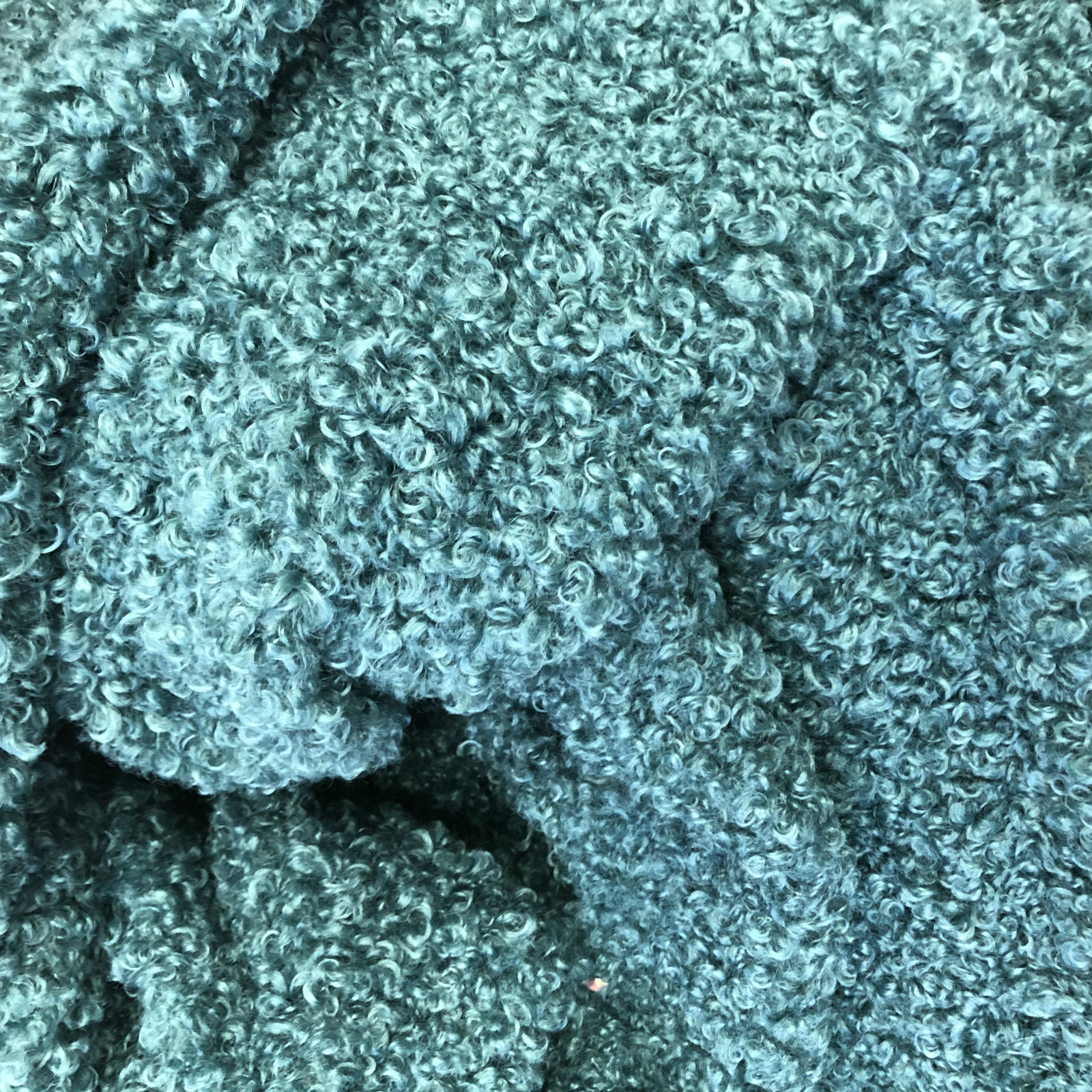 大羊卷 大羊圈毛 提格拉多羊卷绒 仿泰迪狗毛 大衣外套毛绒面料