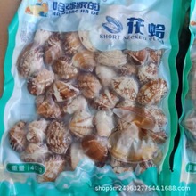 批发冷冻真空全壳花蛤花甲 带壳无沙杂色蛤蜊 自助餐火锅食材