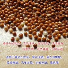 ALJ6红黍子枕头填充物新生婴儿蒙稷红谷子枕芯料鹦鹉鸟食鸟粮天然