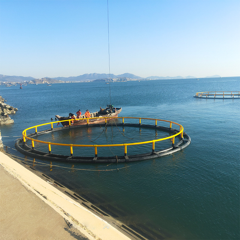 抗风浪深海养殖网箱 海洋牧场水库养鱼平台支架 聚乙烯pe管工字架