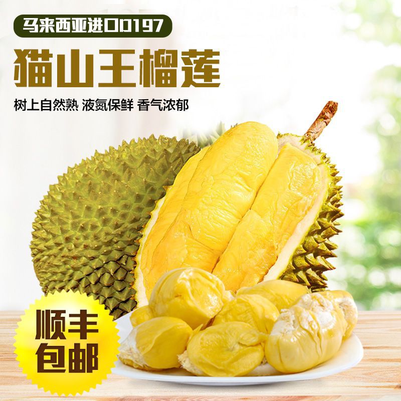 猫山王榴莲正宗马来西亚新鲜榴莲d197进口液氮带壳冷冻新鲜榴莲