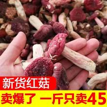 新货500g福建武夷山小红菇干货农家月子红蘑菇香菇煲汤红菌菇蘑菇