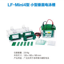 北京龙方科技LF-Mini4小型垂直电泳槽多板胶小型蛋白凝胶电泳槽