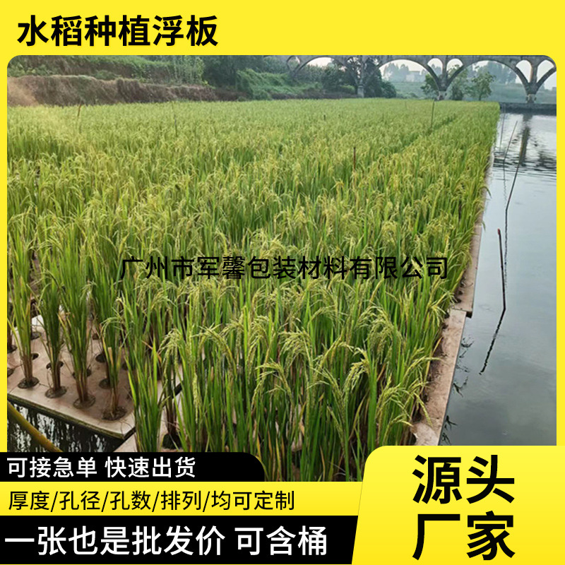 eva水培蔬菜种植板 水上种稻浮床 带孔种菜洞洞板 水面种植浮板