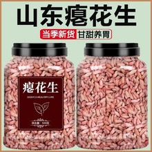 瘪花生新货甘甜花生零食小枇子代餐批发瘪子花生米仁小粒生花生仁