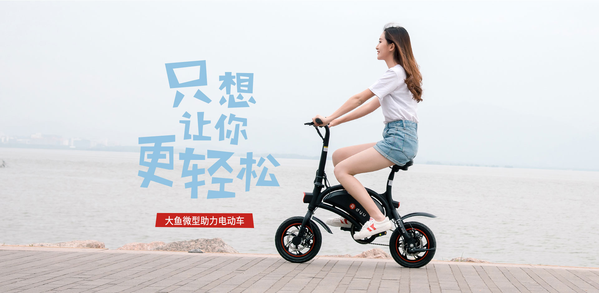 大鱼d2 折叠电动车 成人两轮小型 电动自行车迷你 锂电池脚踏车