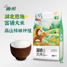 东北方正秋然系列新米富硒稻花香壹品10kg大米粳米甜甜官方旗舰店