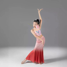 儿童傣族舞蹈演出服装表演服鱼尾练功裙女成人剧目考级艺考孔雀舞