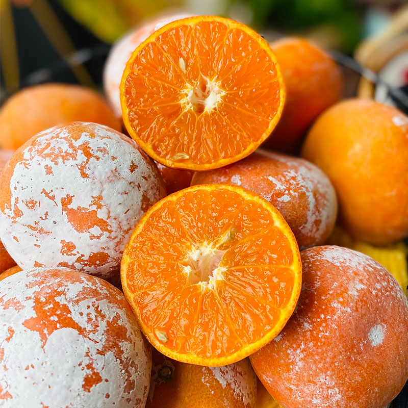 广西武鸣茂谷柑脏脏柑新鲜水果柑橘橘子5斤9斤装现摘现发