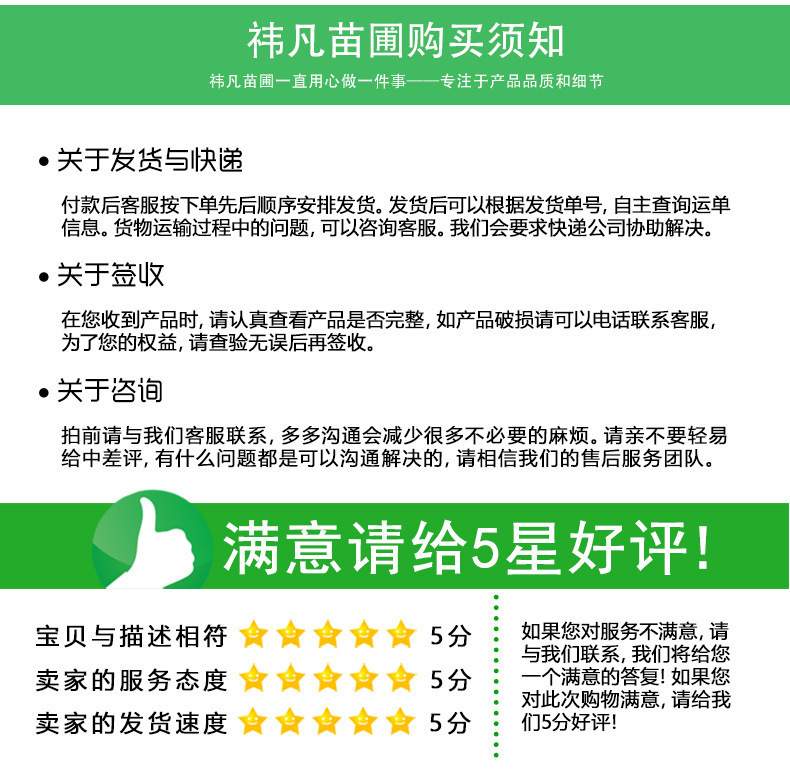 丛生京桃 京桃树价格低 规格全 园林景观树 丛生山桃 常年批发