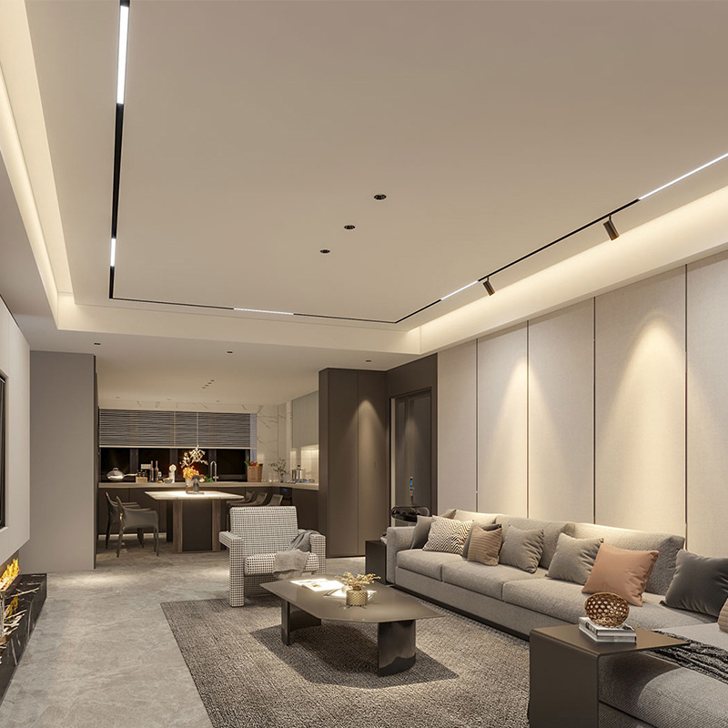 Magnetic Track Light 2