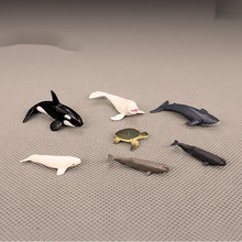 滴胶素材迷你海洋生物模型 小号蓝鲸白鲸虎鲸抹香鲸鱼海龟小摆件