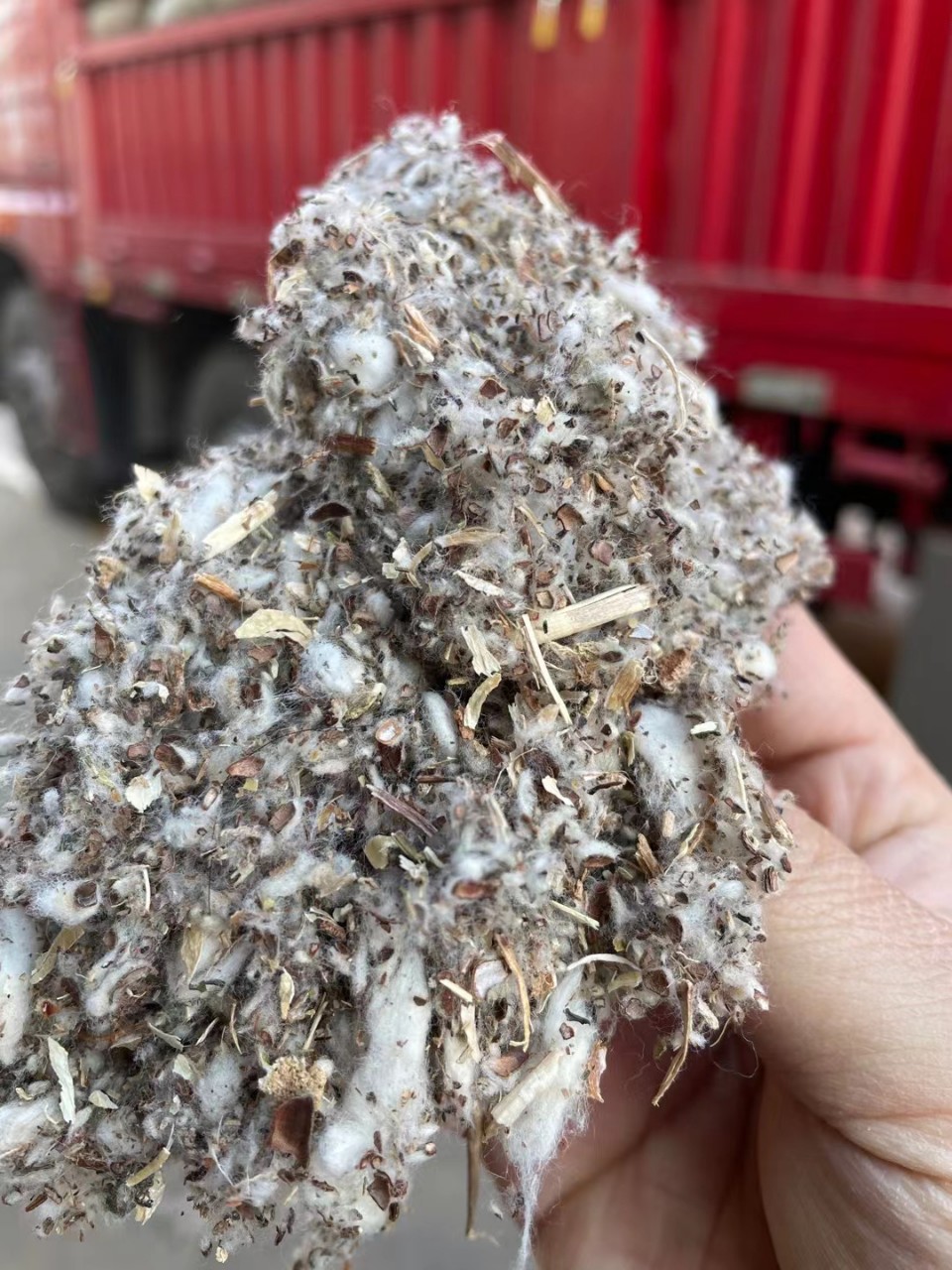 供应棉子壳棉子壳