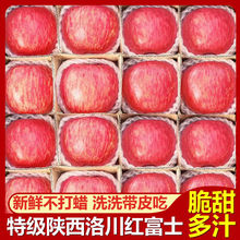 【新鲜洛川苹果】脆甜陕西红富士苹果水果批发一整箱