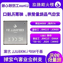 野火i.MX6ULL ARM Linux开发板IMX6ULL核心板 DTU板物联网关IOT