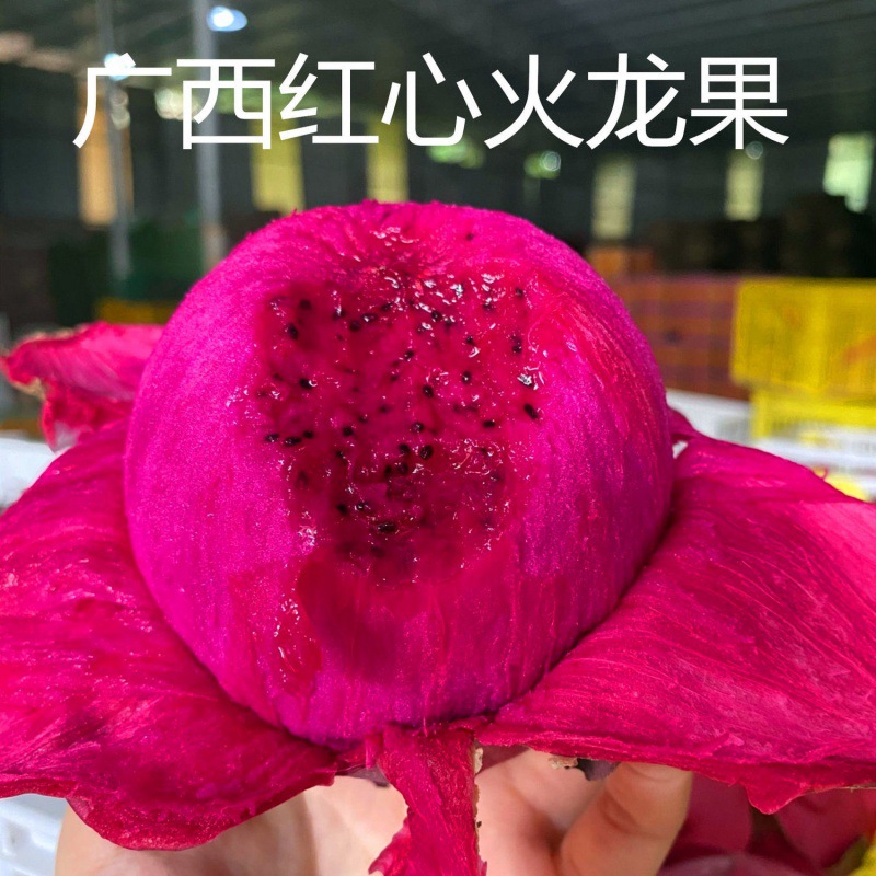 现摘金都蜜宝红心火龙果当季新鲜水果到家整箱批53斤工厂一件批发-阿