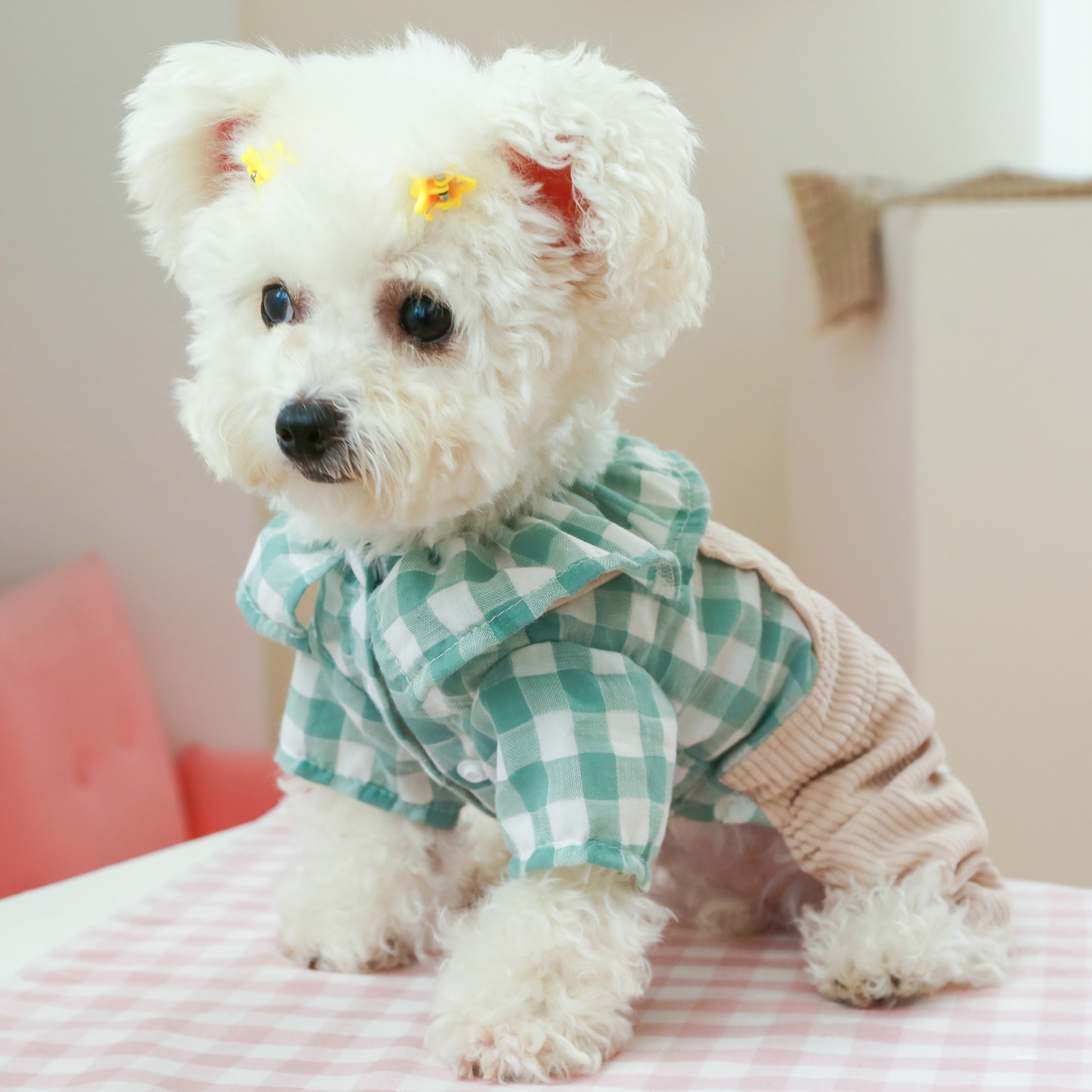 盘他幼犬春秋款格子荷叶边四脚衣泰迪比熊博美宠物小型犬狗狗衣服