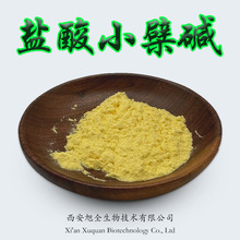 黄连素97%盐酸小檗碱Berberine CAS:2086-83-1 黄莲提取物