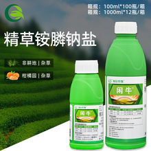 闲牛10%精草铵膦钠盐杂草除草剂 _ 四川利尔作物闲牛柑橘非耕地杂草