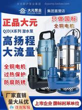 大元潜水泵单相220V不锈钢qd农用灌溉浙江抽水机高扬程大流量水泵