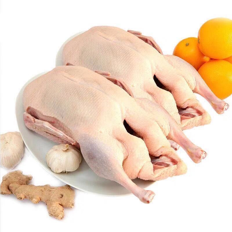 鸭鸭散养冷冻农家白条鸭