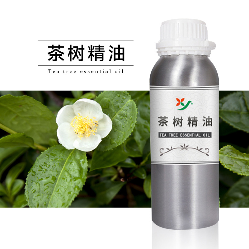 轩意植物互生叶白千层叶油保湿滋润天然香薰茶树单方精油厂家批发