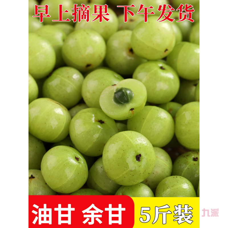 特价5斤新鲜油甘果青橄榄孕妇酸水果牛甘果余甘子油柑子余甘果